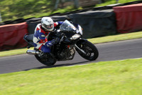 BIKES 1684