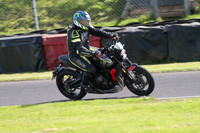 BIKES 1624