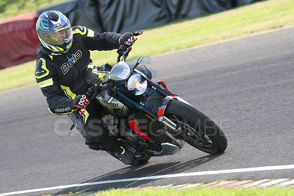 BIKES 1669