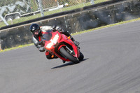 BIKES 0854