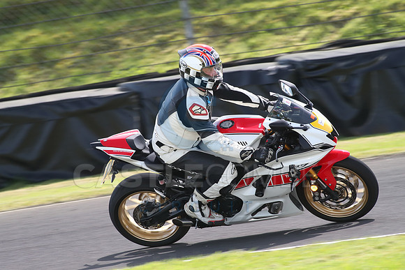 BIKES 1647