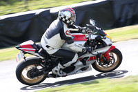 BIKES 1718