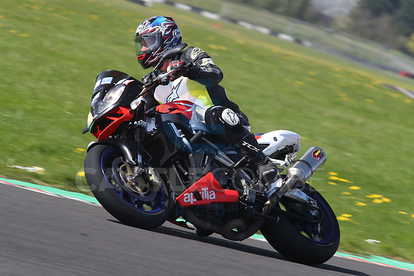 BIKES 1288