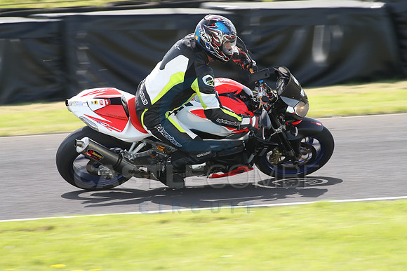 BIKES 1736