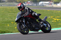 BIKES 1264
