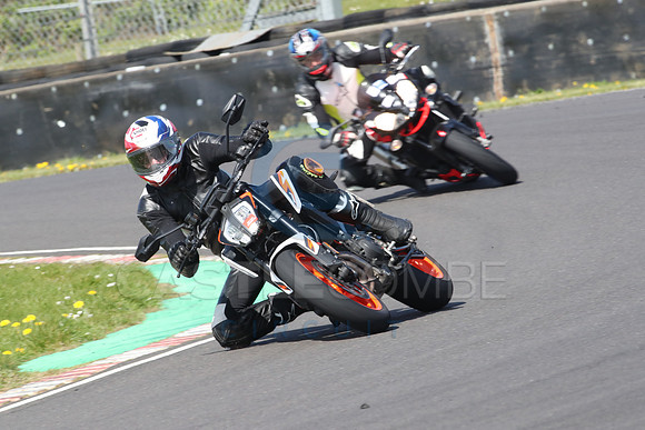 BIKES 0884