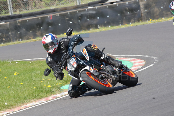 BIKES 0899