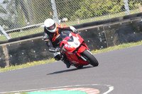 BIKES 0719
