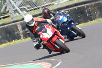 BIKES 0746