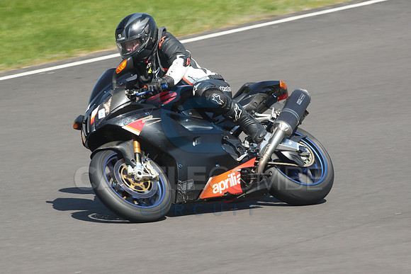 BIKES 1164