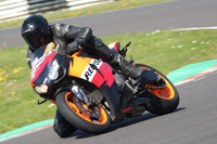 BIKES 0693
