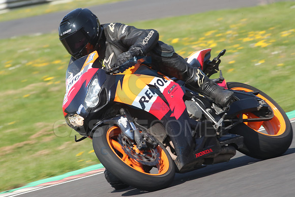 BIKES 0694
