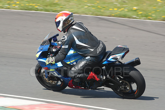BIKES 1172