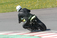 BIKES 1146