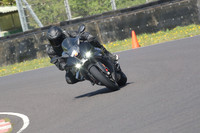 BIKES 0762