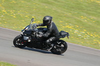 BIKES 1190