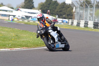 BIKES 1365