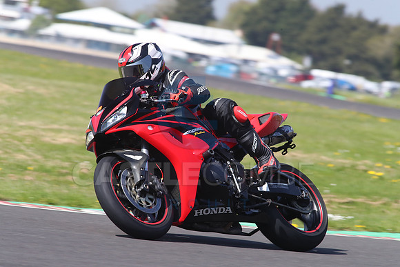BIKES 1422