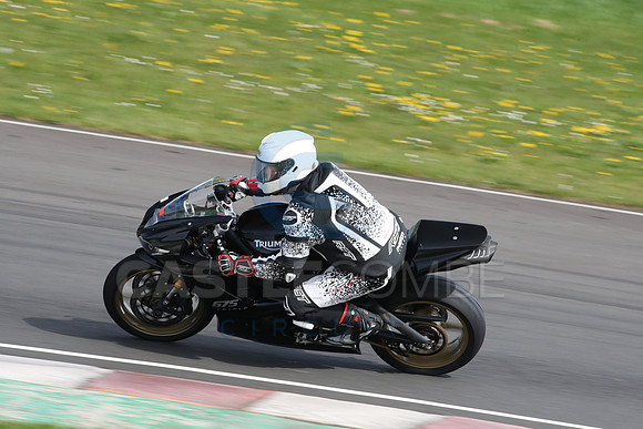 BIKES 2269