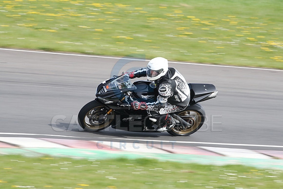 BIKES 2279