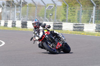 BIKES 1467