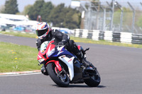 BIKES 1486