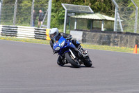 BIKES 1497