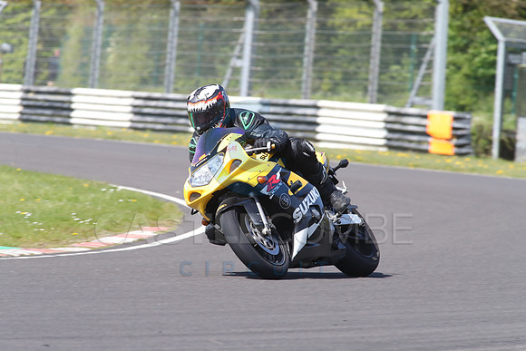 BIKES 1519