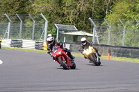 BIKES 1542