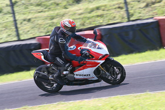 Fowlers 1260
