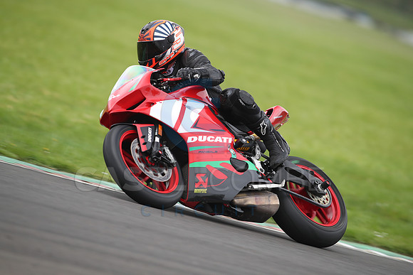 BIKES 1365
