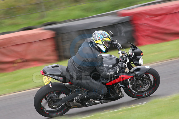 BIKES 1542