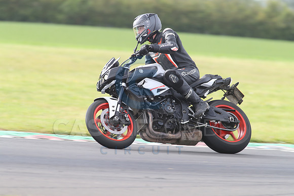 BIKES 1231