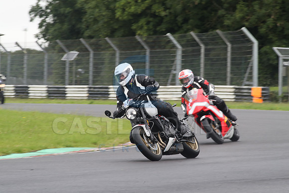 BIKES 1137