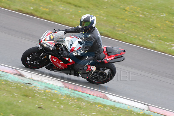 BIKES 1141