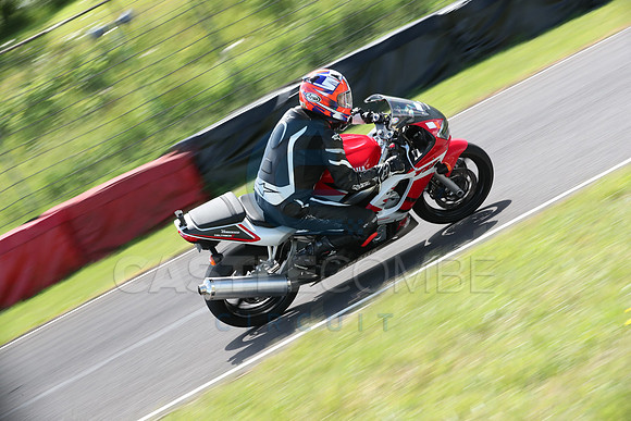 BIKES 0684