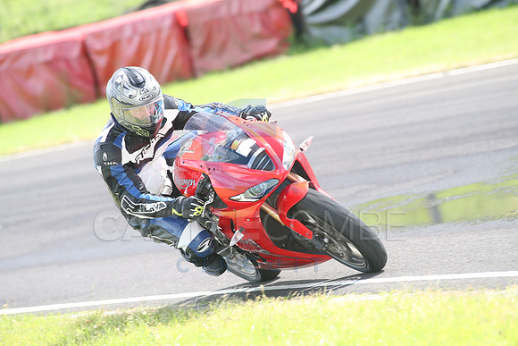 BIKES 0991