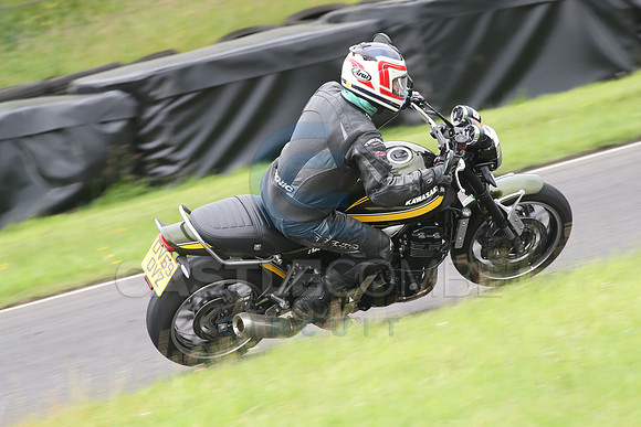 BIKES 1561