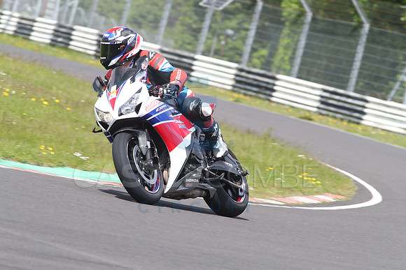 BIKES 1516