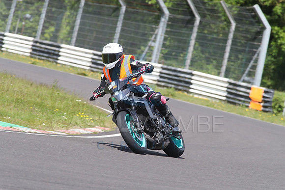 BIKES 1474