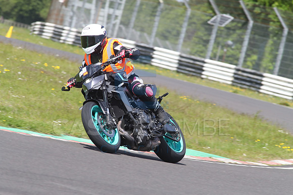 BIKES 1475