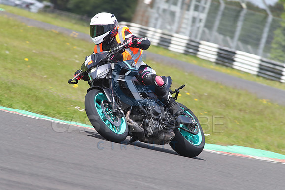 BIKES 1533