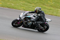 BIKES 1146