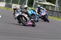 BIKES 1541