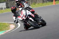BIKES 0655
