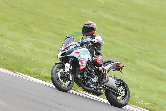 BIKES 1191