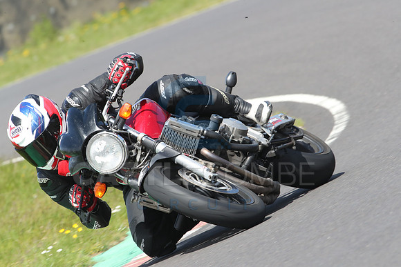 BIKES 0713