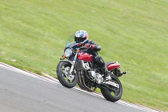 BIKES 1186