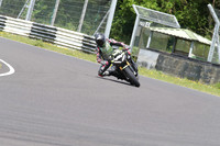 BIKES 1554