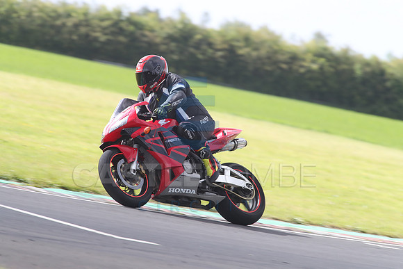 BIKES 1297